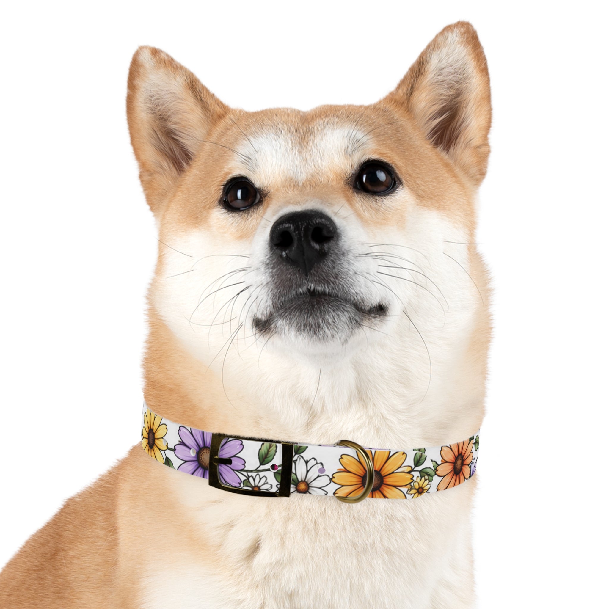 Floral Daisy Dog Collar — Colorful Spring Flower Pet Collar