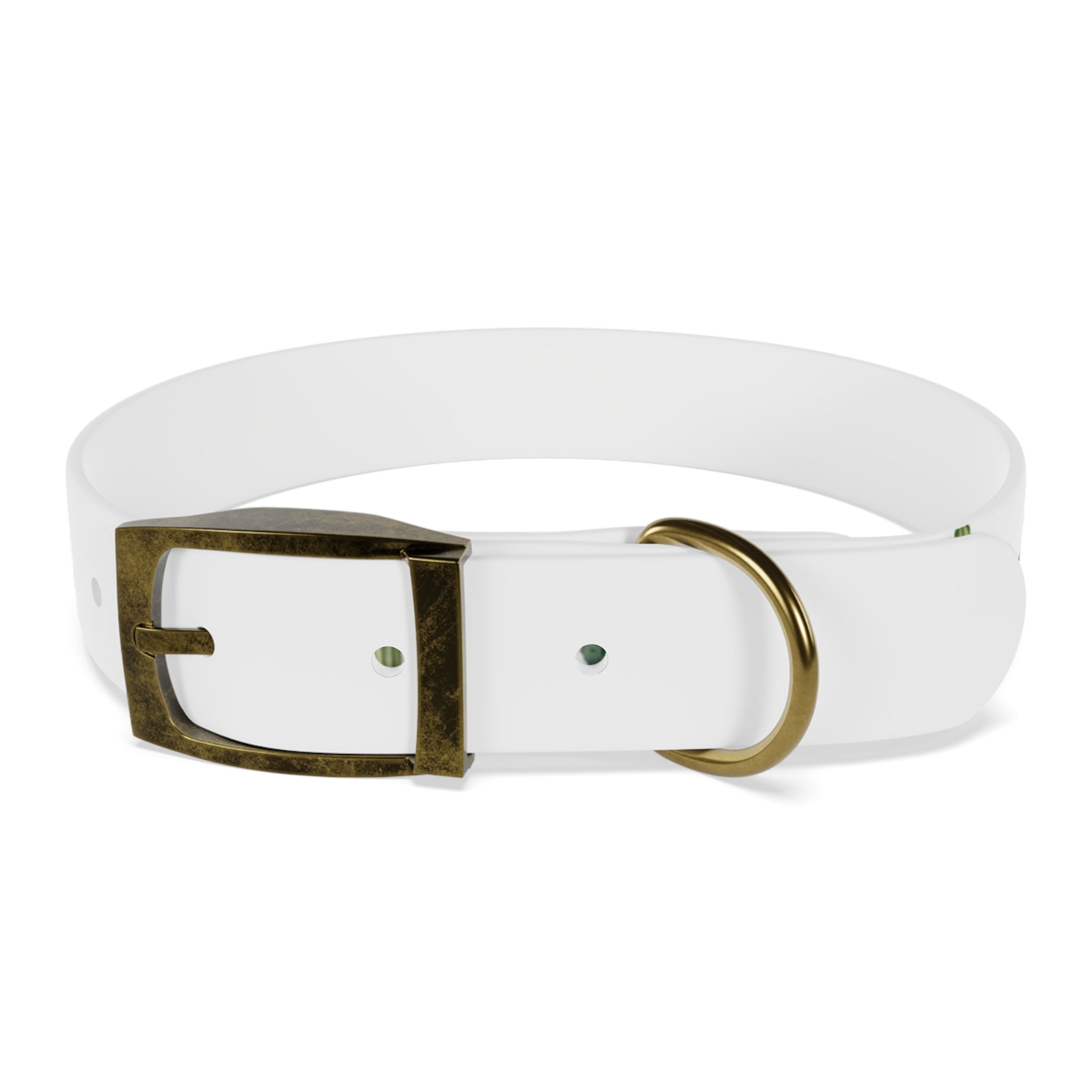 Cactus Garden Dog Collar — Watercolor Succulent Print for Small & Large Dogs