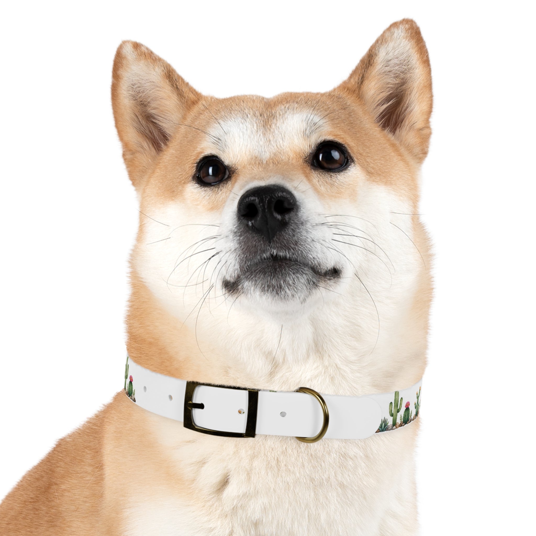 Cactus Garden Dog Collar — Watercolor Succulent Print for Small & Large Dogs