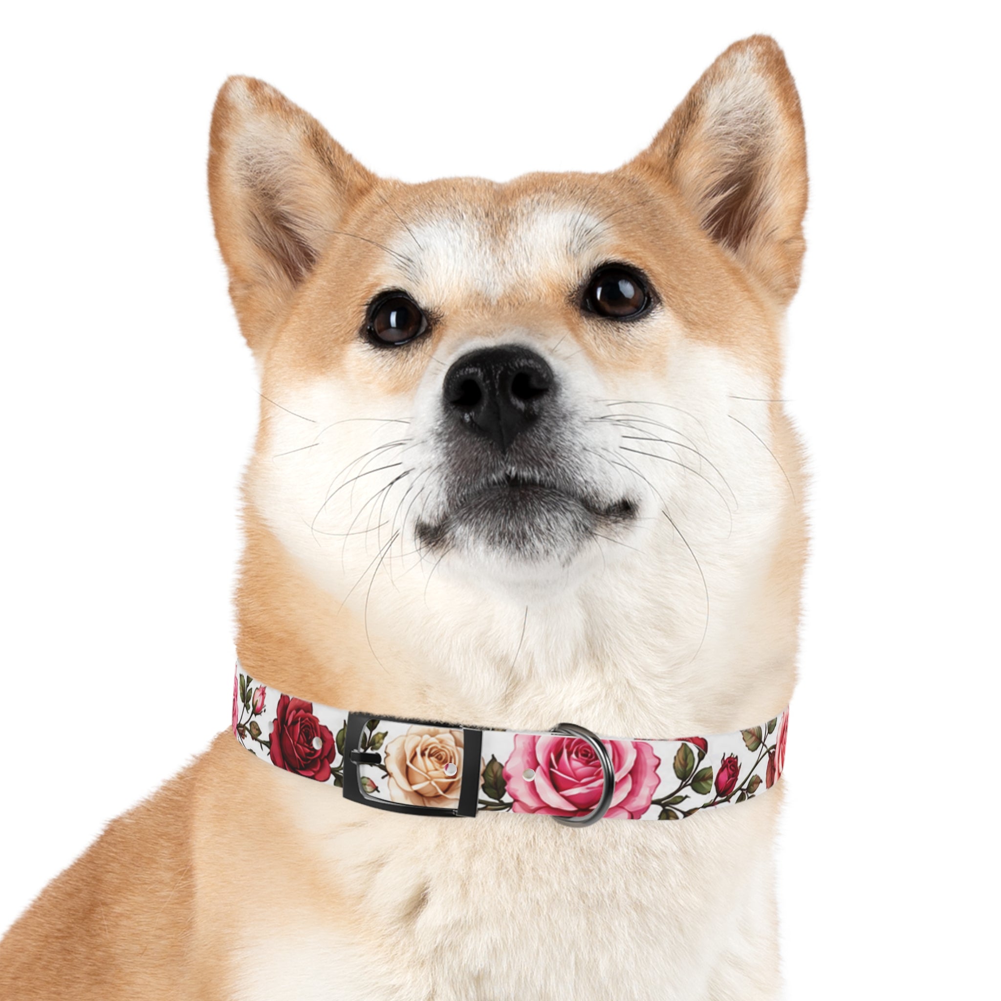 Floral Rose Dog Collar — Pink & Cream Garden Print