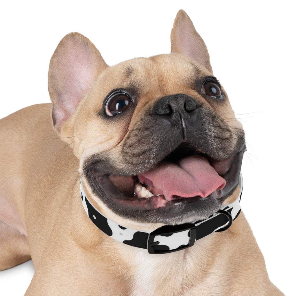 Cow Print Dog Collar — Black & White Cute Pup Accessory