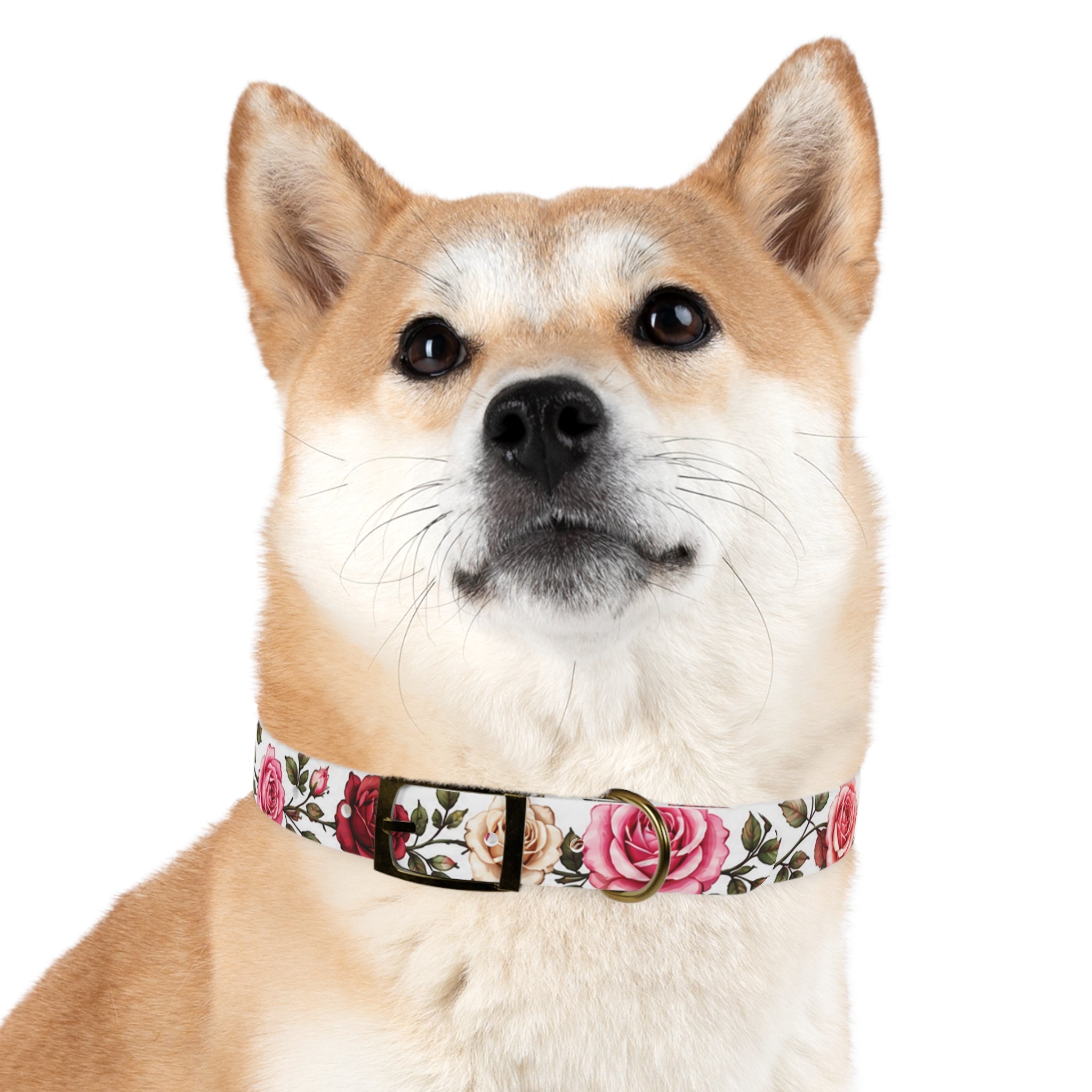 Floral Rose Dog Collar — Pink & Cream Garden Print